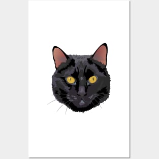 Black cat Posters and Art